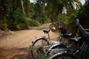 Tours around Battambang