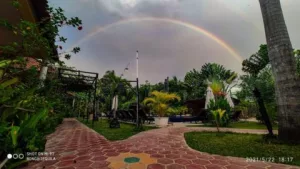 Best Hotel best restaurant Battambang